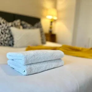 Bed & Breakfast Koala & Tree - Modern 1 Bed For 4 Guests In The Heart Of - Short Lets & Serviced, Cambridge (Cambridgeshire)